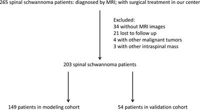 Scoring model to predict postoperative neurological deterioration in spinal schwannoma